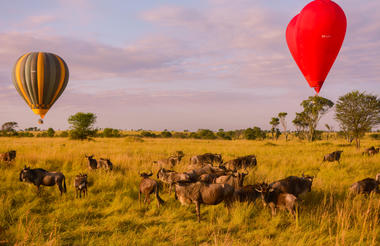 Miracle Experience Hot Air Balloons Soaring Above Serengeti
