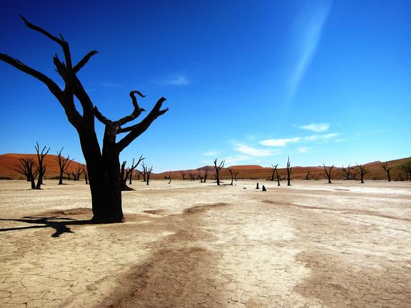 Namib sky